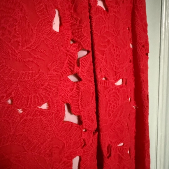 Deep V Red Lace Gown - Picture 6 of 6